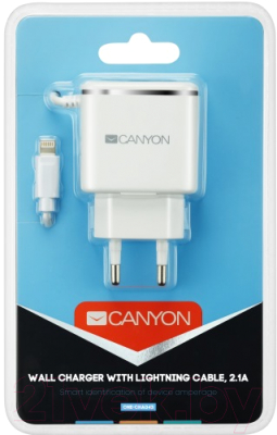 Зарядное устройство сетевое Canyon CNE-CHA043WS