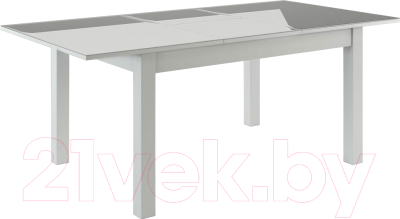 Обеденный стол Васанти Плюс ВС-21 120/160x80 (белый глянец)
