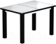 Обеденный стол Васанти Плюс ВС-34 120/160x80М (белый матовый/черный) - 
