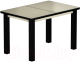 Обеденный стол Васанти Плюс ВС-36 120/160x80М (бежевый матовый/черный) - 