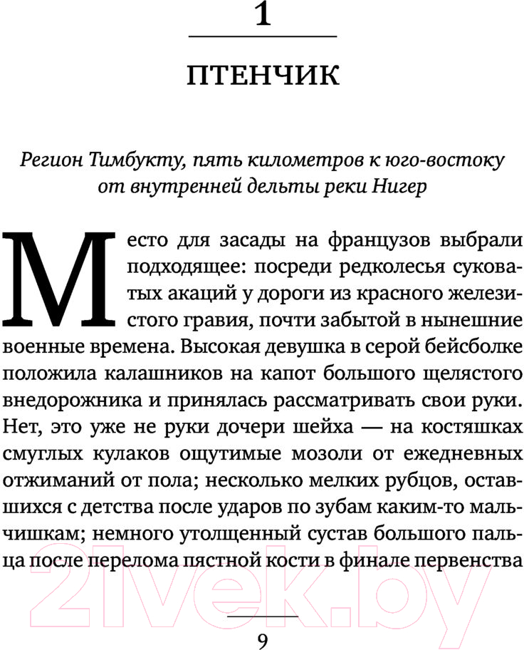 Художественная книга АСТ Тени Мали (Фефилов В.П.) — фото 6