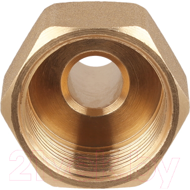 Изображение товара Муфта Pro Aqua ВР 20x1/2 / AX1802012