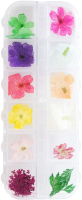 Декор для дизайна ногтей Global Fashion Сухоцветы-3 / 16084 (12 цветов) - 