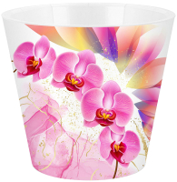 

Вазон Ingreen, London Orchid Deco / IG619610512