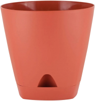 

Вазон, Amsterdam / IG619910041