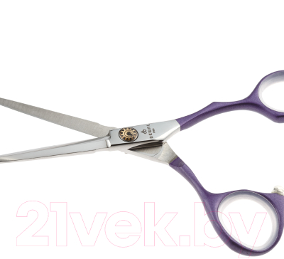 Изображение товара Ножницы парикмахерские Dewal Color Step / ML55-PR  (фиолетовый)