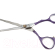 Миниатюра изображения товара Ножницы парикмахерские Dewal Color Step / ML55-PR  (фиолетовый)