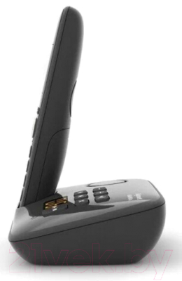 Беспроводной телефон Gigaset AS690A Duo Rus / L36852-H2836-S301 (черный)