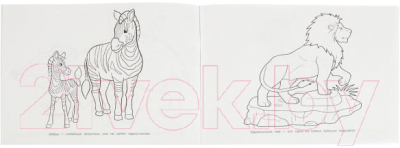 Изображение товара Раскраска Умка Животные Африки (Хохлова Е.)