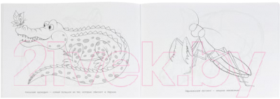 Изображение товара Раскраска Умка Животные Африки (Хохлова Е.)