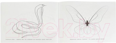 Изображение товара Раскраска Умка Животные Африки (Хохлова Е.)