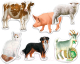 Развивающая игра Русский стиль Домашние животные / 02542 - 