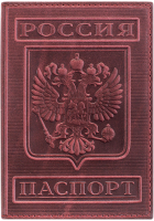 Обложка на паспорт OfficeSpace KPs_1643 / 176868 (терракот) - 