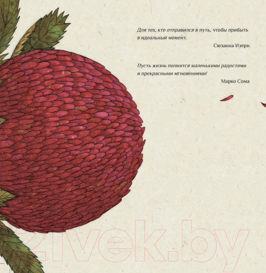 Художественная книга Попурри Идеальный момент (Изерн С., Сома М.) — фото 3