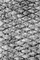 

Ковер Bossan, Loft 1903A-SIYAH-KGRI