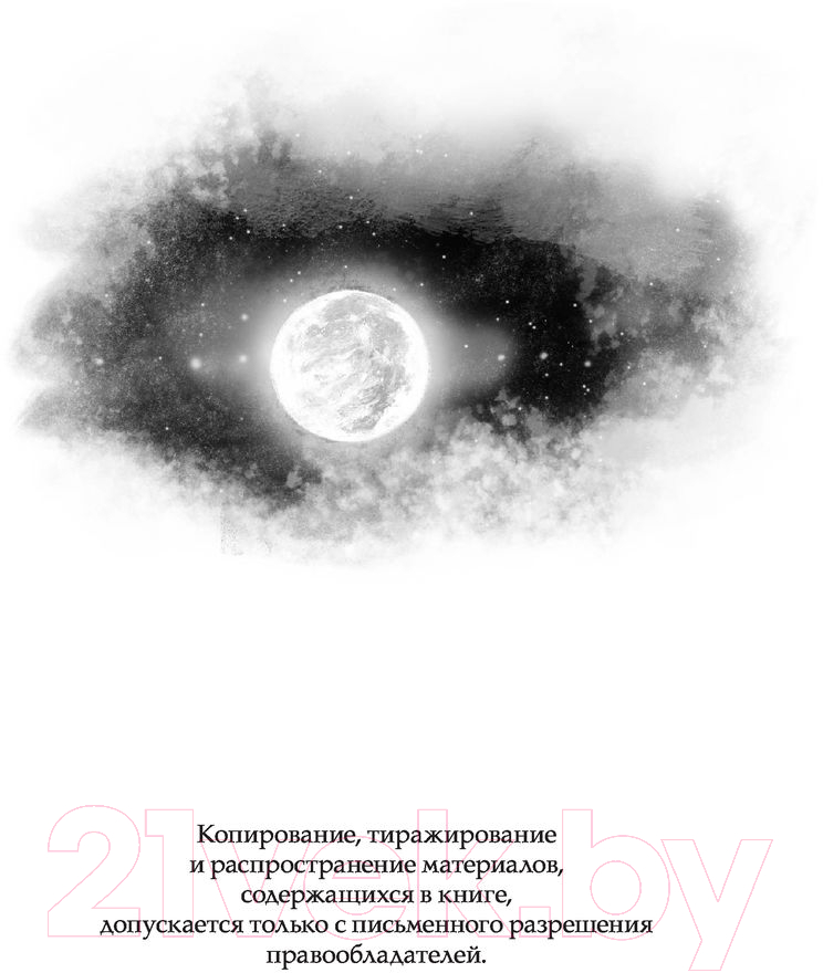 Художественная книга АСТ Темногорье 3. Серебряный лес (Кутузова Л.В.) — фото 3