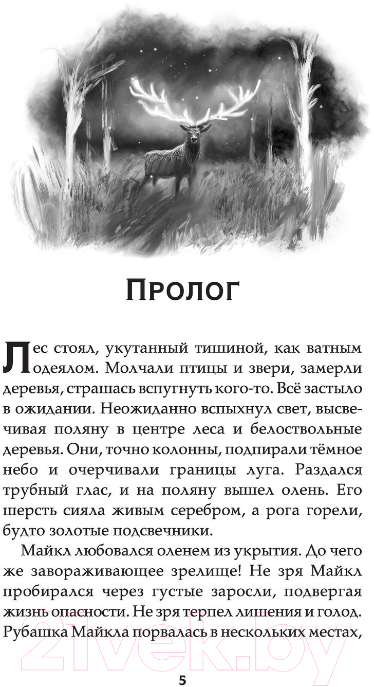 Художественная книга АСТ Темногорье 3. Серебряный лес (Кутузова Л.В.) — фото 6
