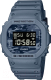 Часы наручные мужские Casio DW-5600CA-2E - 