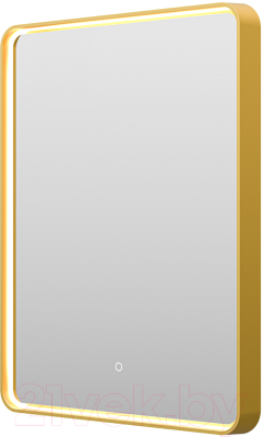 Купить Зеркало Brevita Mercury MER-Rett6-060/80-gold  