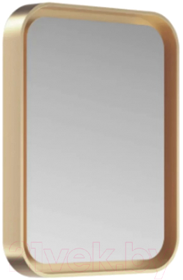 Купить Зеркало Brevita Mercury MER-Rett6-060/80-gold  