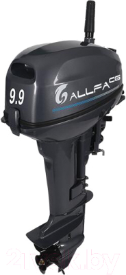 Мотор лодочный Allfa CG T9.9