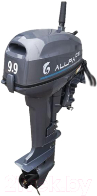 Мотор лодочный Allfa CG T9.9BW S