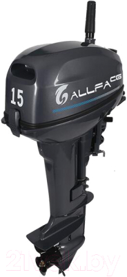 Мотор лодочный Allfa CG T15