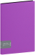 Папка для бумаг Berlingo Color Zone / AVp_60107 (фиолетовый) - 
