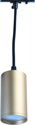 Трековый светильник ЭРА TR45-GU10 S MG / Б0054184 (золото)
