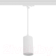 Трековый светильник ЭРА TR45-GU10 S WH / Б0054181 (белый) - 