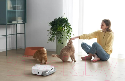 Робот-пылесос SmartMi VortexWave Robot Vacuum Cleaner / ZNXDJQR01ZM
