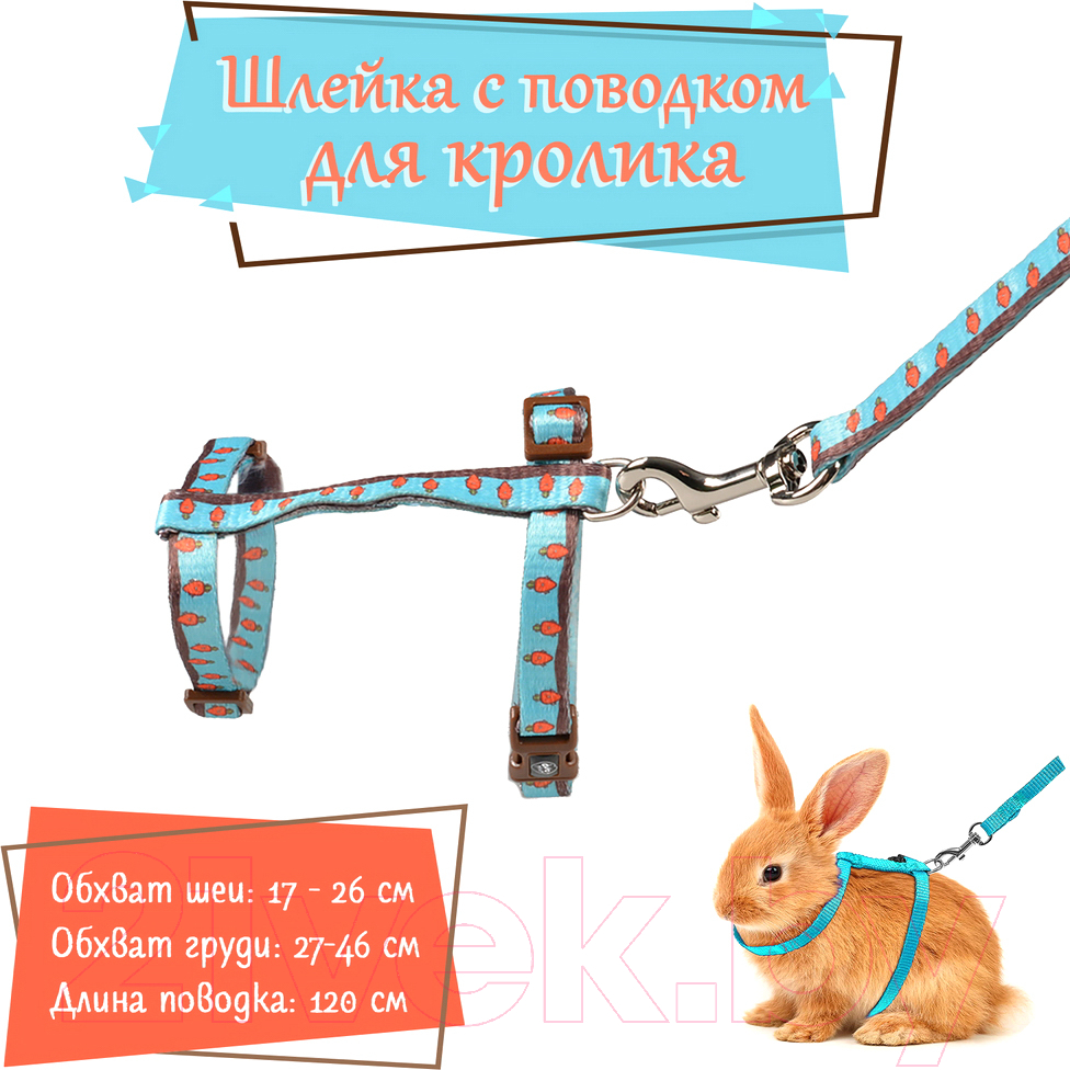 Шлея с поводком Duvo Plus Морковки / 11927/blue (голубой) — фото 3
