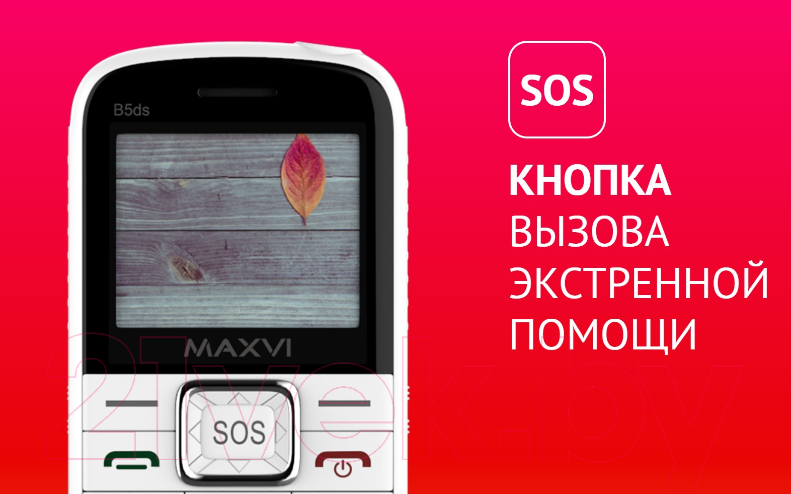 Maxvi B5ds коричневый Мобильный телефон 2 SIM-карты купить в Минске,  Гомеле, Витебске, Могилеве, Бресте, Гродно