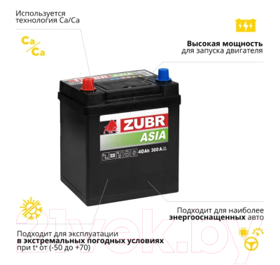 Изображение товара Автомобильный аккумулятор Zubr Premium Asia L+ (40 А/ч)