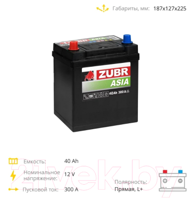 Изображение товара Автомобильный аккумулятор Zubr Premium Asia L+ (40 А/ч)