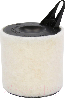 

Воздушный фильтр Mann-Filter, C1370