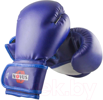 Боксерские перчатки Novus LTB-16301 14oz (L/XL, синий)