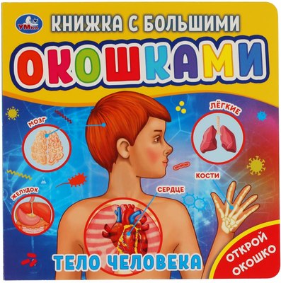 

Развивающая книга, Тело человека