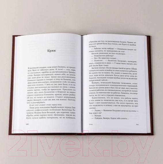 Художественная книга Альпина Одинокое путешествие накануне зимы (Ремизов В.) — фото 5