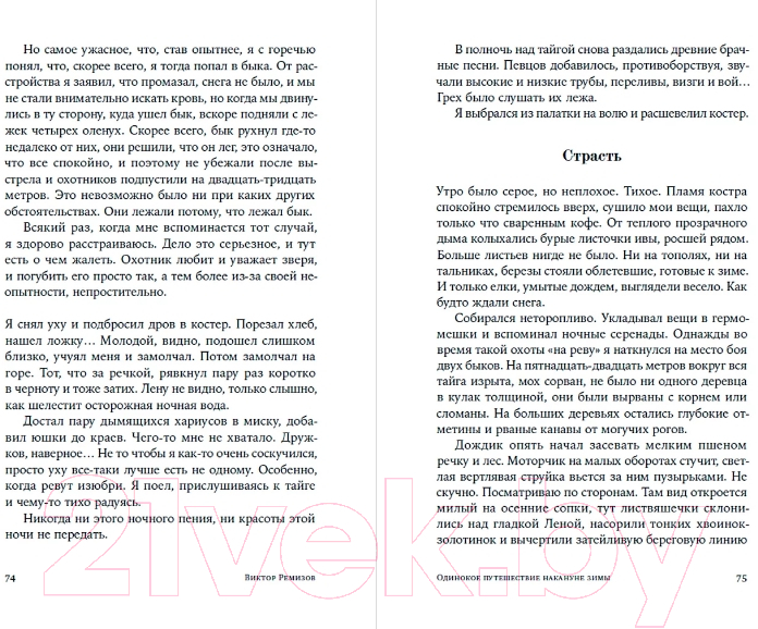 Художественная книга Альпина Одинокое путешествие накануне зимы (Ремизов В.) — фото 2