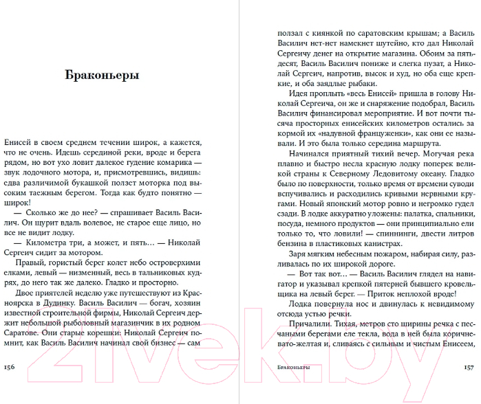 Художественная книга Альпина Одинокое путешествие накануне зимы (Ремизов В.) — фото 3