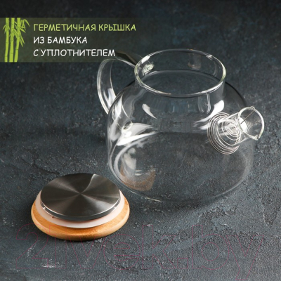 Заварочный чайник Magistro Эко / 1661236 (800мл)