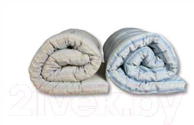 AlViTek 120x190 / МТ-РВ-120 Тюфяк купить в Минске, Гомеле, Витебске ...