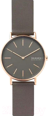 Часы наручные женские Skagen SKW2794