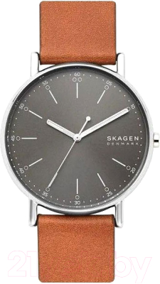 Часы наручные мужские Skagen SKW6578