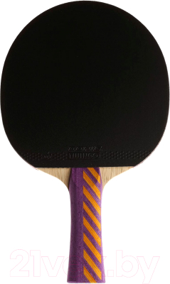 Ракетка для настольного тенниса Donic Schildkrot Testra AR / 200202