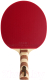 Ракетка для настольного тенниса Donic Schildkrot Testra Premium / 200205 - 