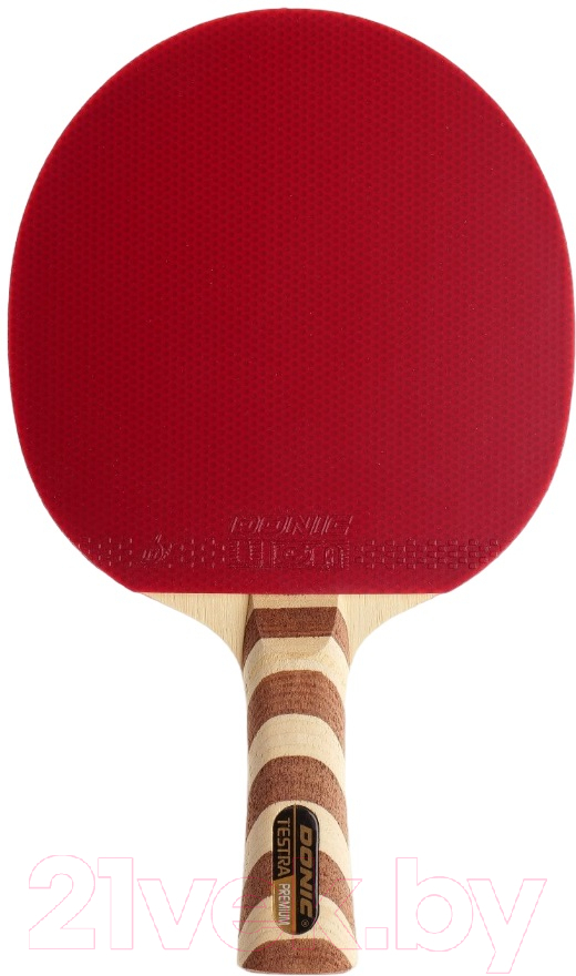 Ракетка для настольного тенниса Donic Schildkrot Testra Premium / 200205