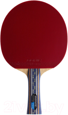 Ракетка для настольного тенниса Donic Schildkrot Testra Pro / 200204