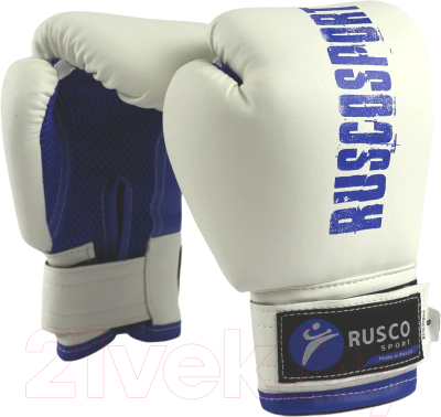 Боксерские перчатки RuscoSport 10oz (бело-синий)